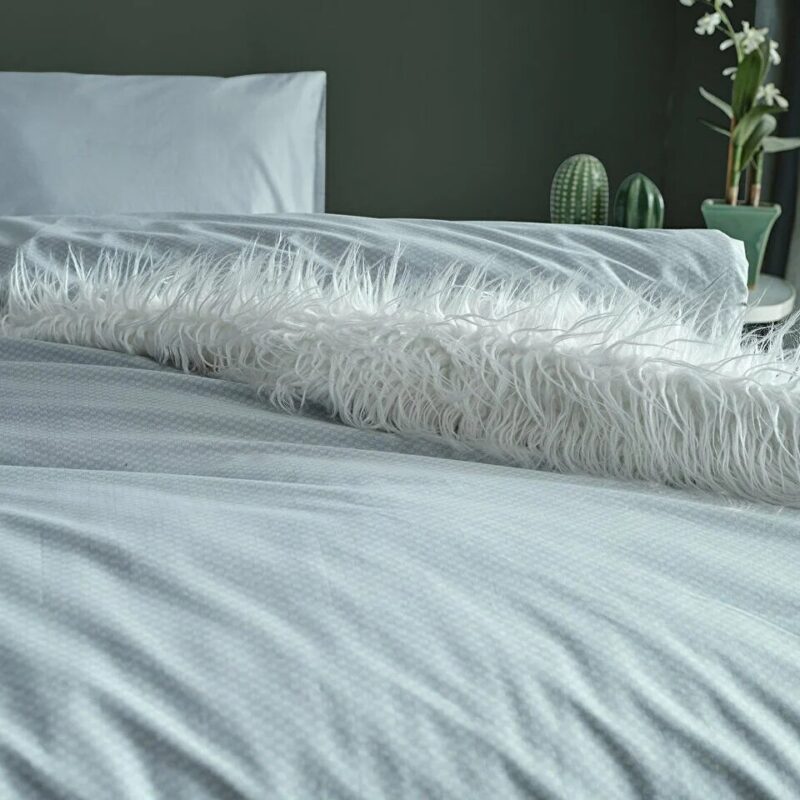 dreamlife-img-3