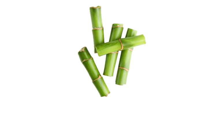 Dream Bamboo